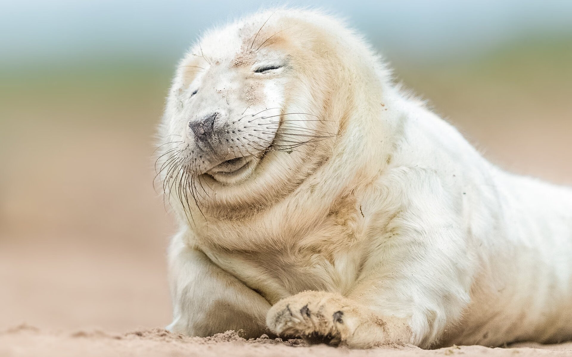 数据之下的暗涌，快船力克森林狼，莫兰特如何从配角成为关键先生