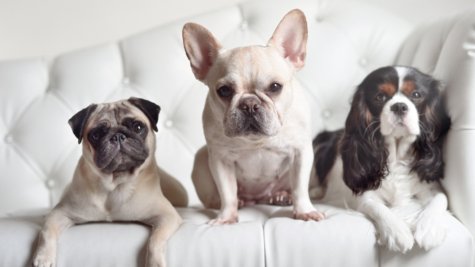 卡塞米罗爆发之夜，智利战术幽灵如何全面压制皇马？